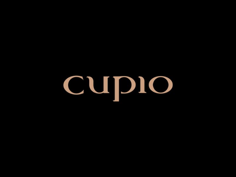 Cupio.ro – Best Online Merchant Award for the „Health & beauty” category – GPeC 2013